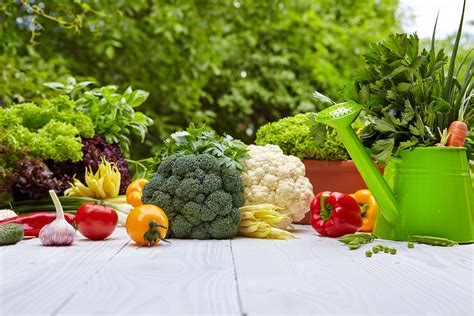 Vegetable Gardening for Beginners: A Treasure Trove of Horticultural Wisdom!